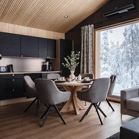 Villa Light Ruka